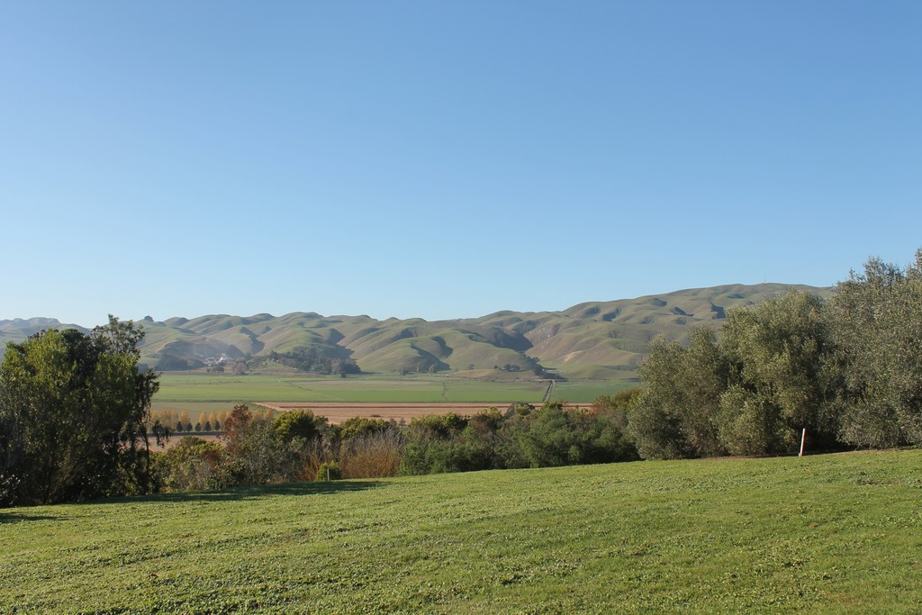 Magnificent Views Await
