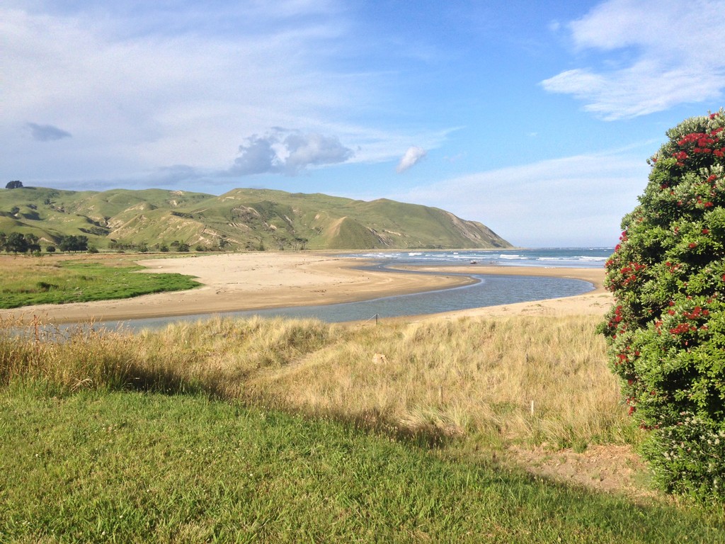 Superb Beach Front Section