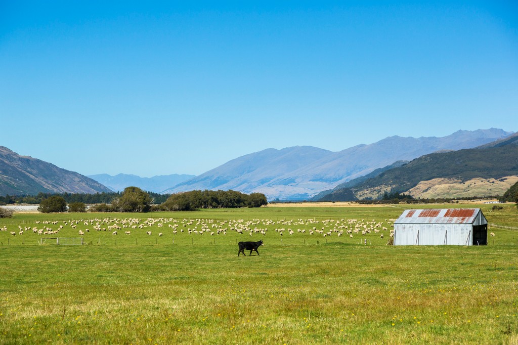 Mt Albert Station - FINAL TENDER REMINDER