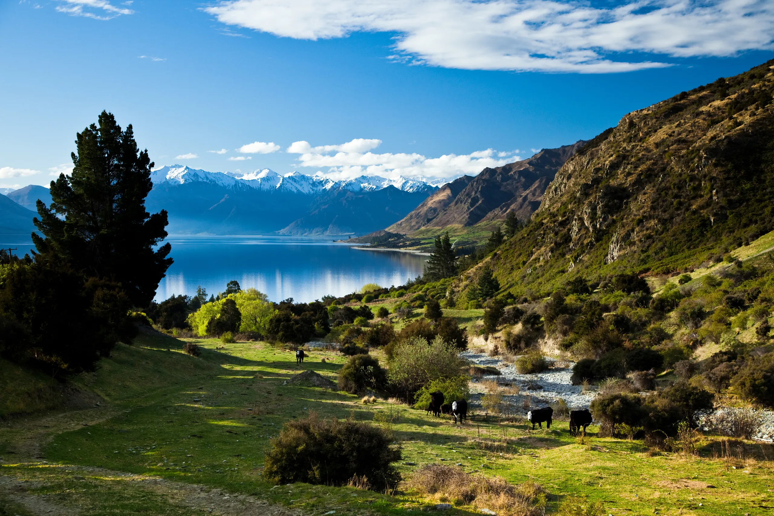 Lake Hawea Station, Lake Hawea, Central Otago