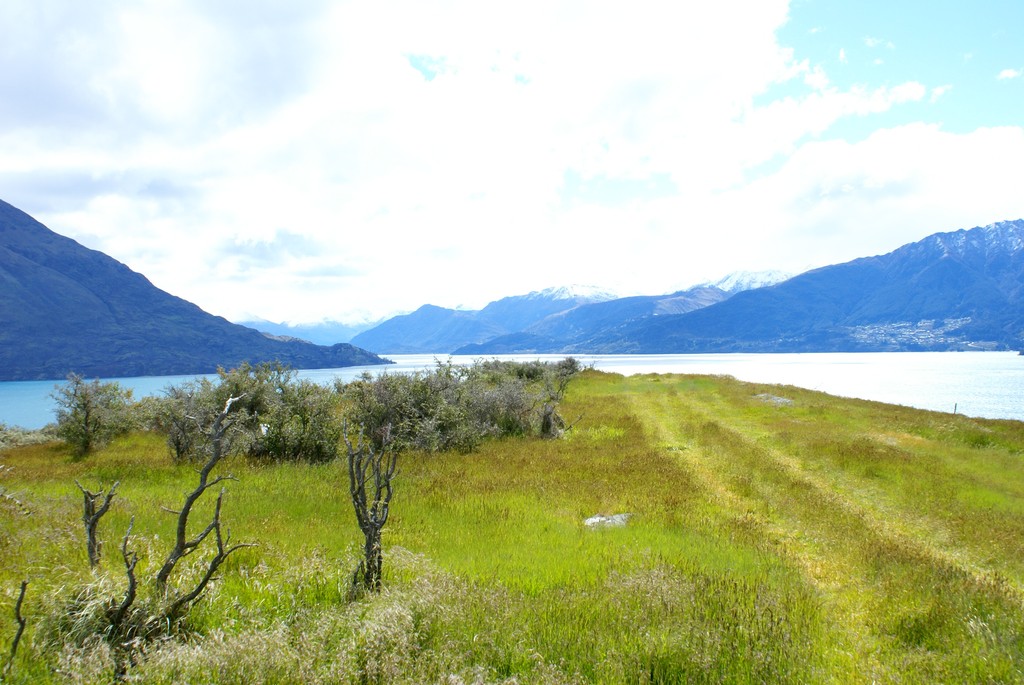 Premium Lake-view Site