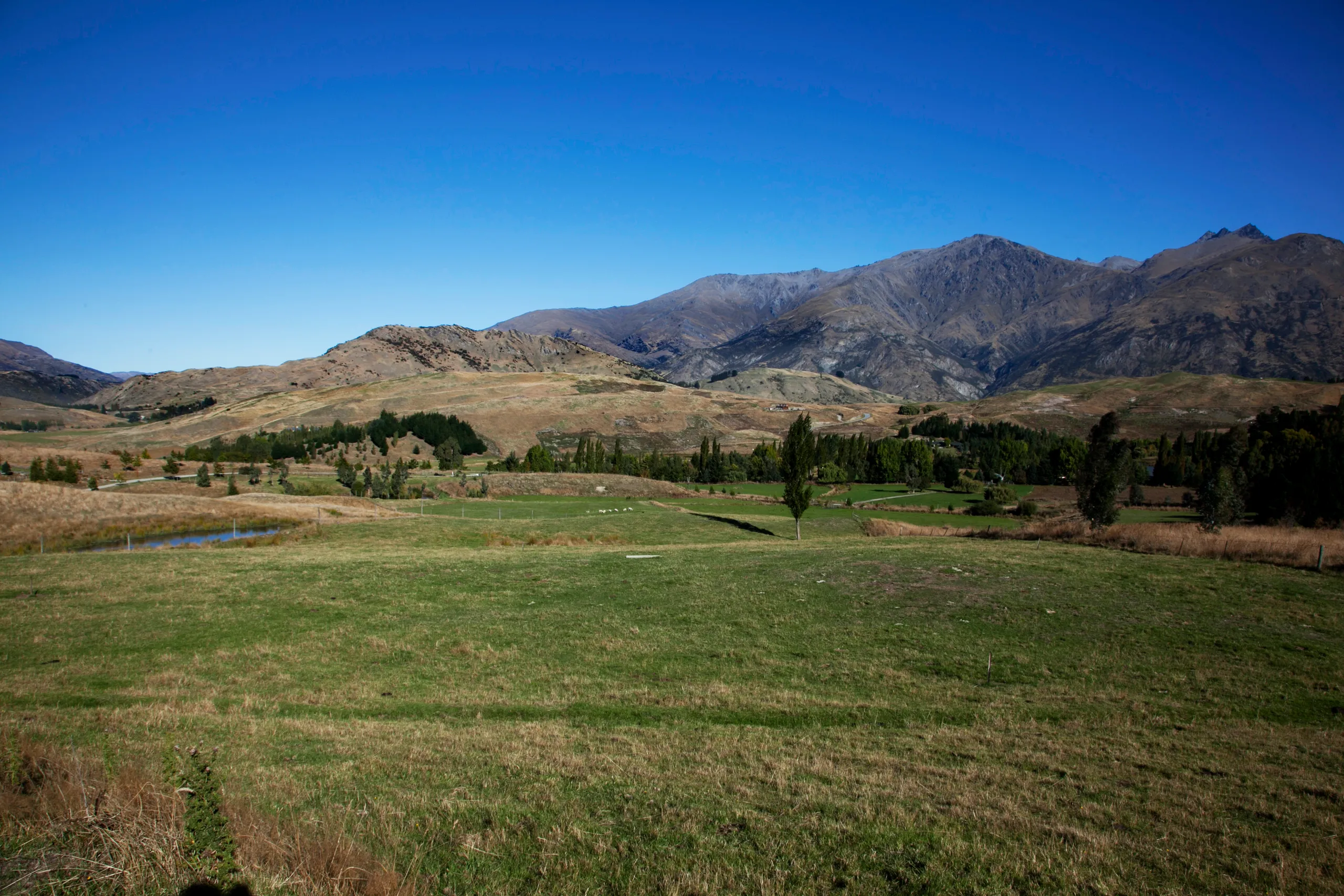 3 Elysium Way, Speargrass Flat, Queenstown
