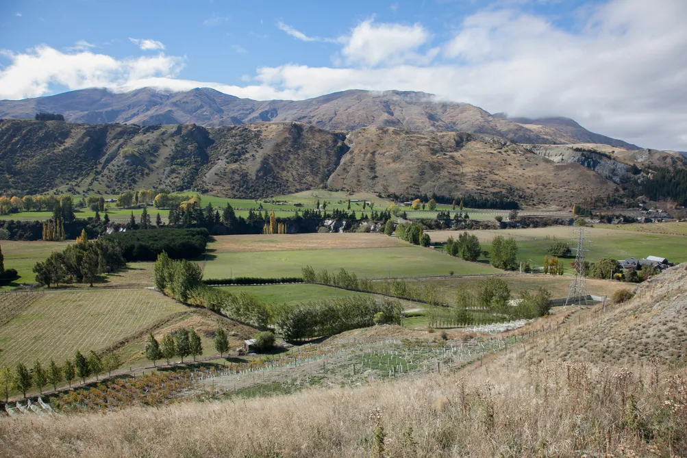 Peaceful and Private with Kawarau River Access