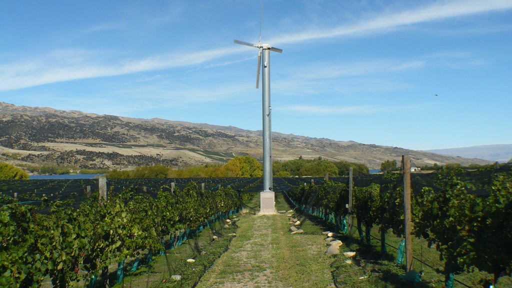 Central Otago Vineyard - Perfect Climate for Wine
