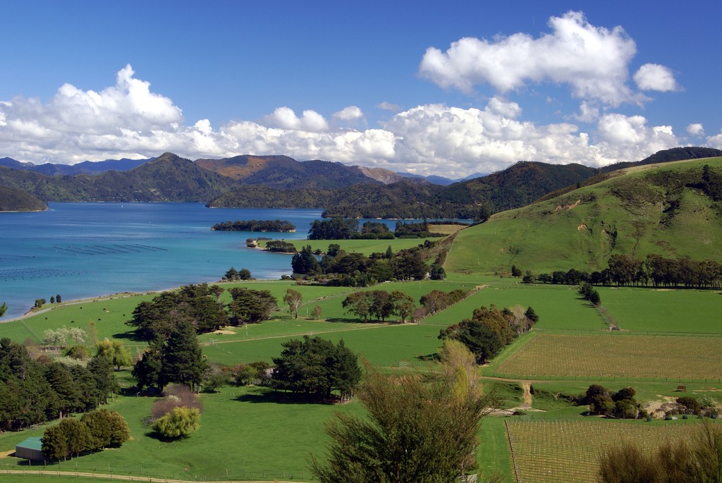 Be Part of the Exciting Wine and Deer Industry