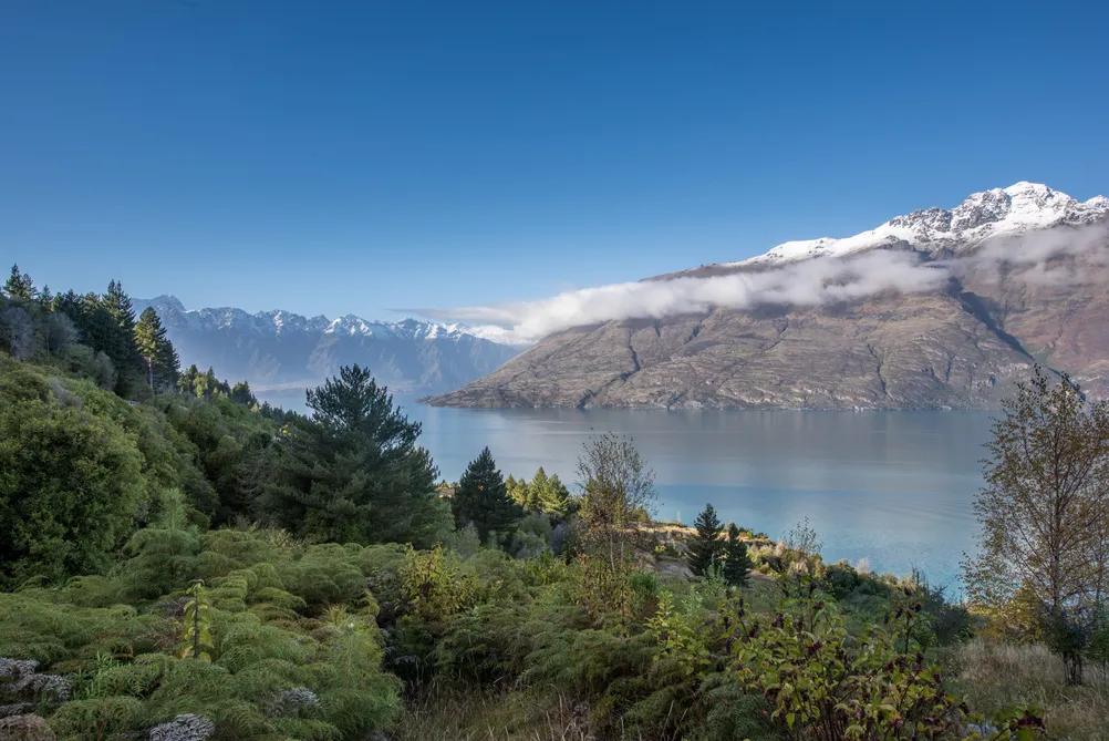 Forestlines, Lot 11, Queenstown