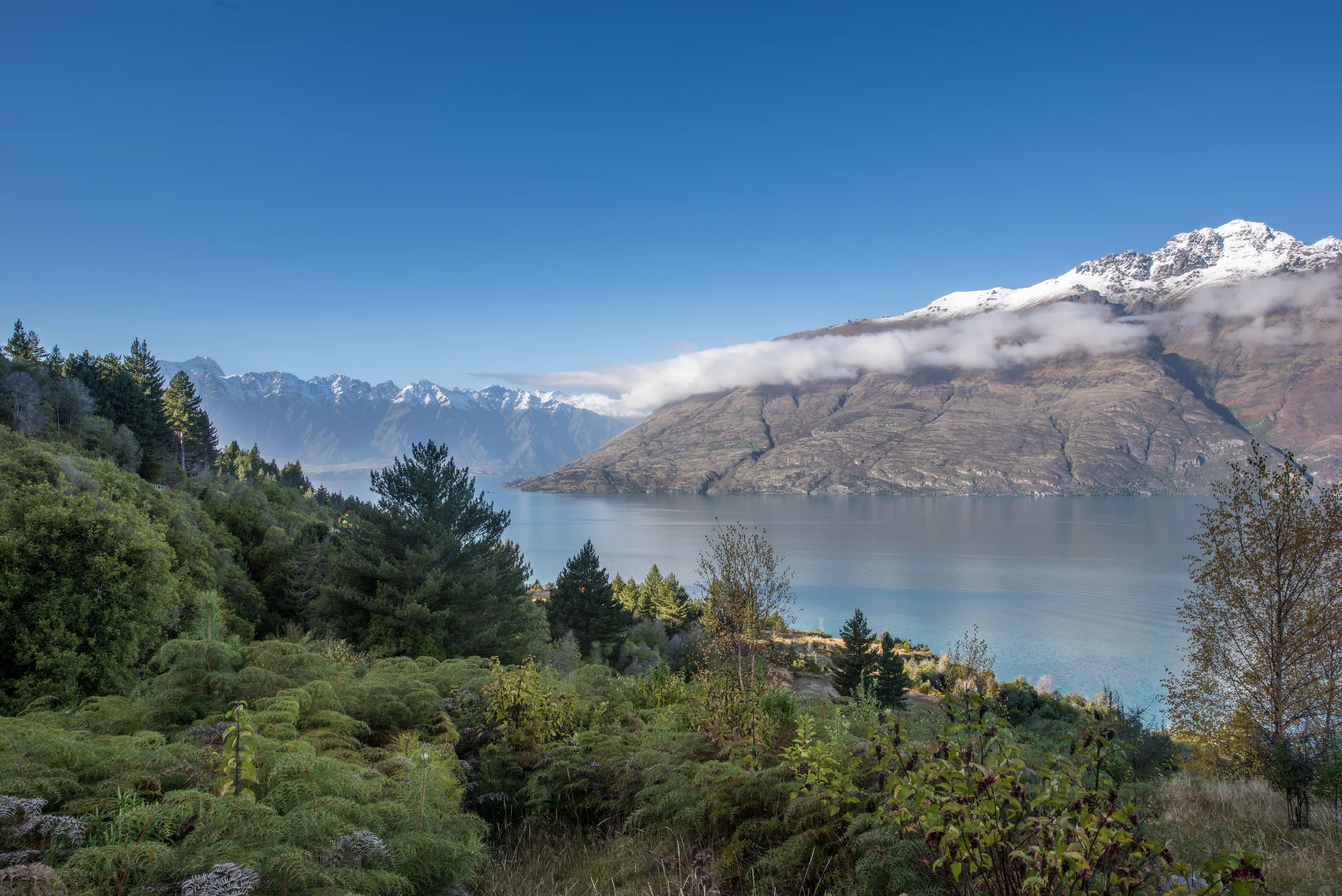 11 Lot 11 Forest lines, Queenstown, Queenstown