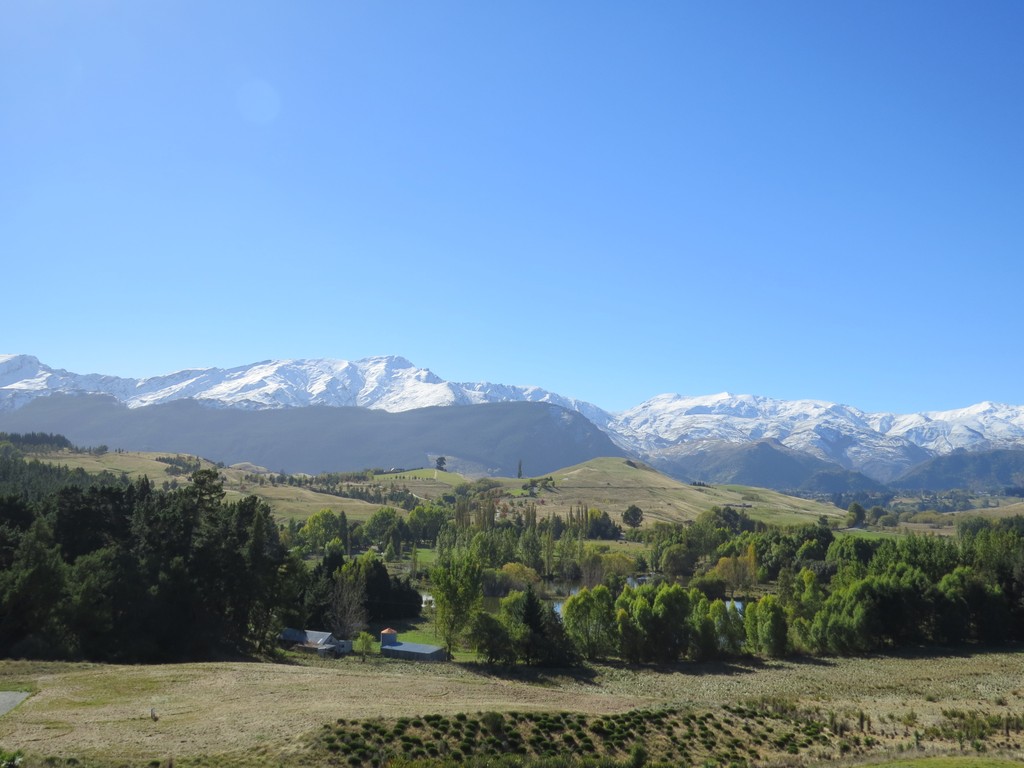 Stunning Rural Queenstown position