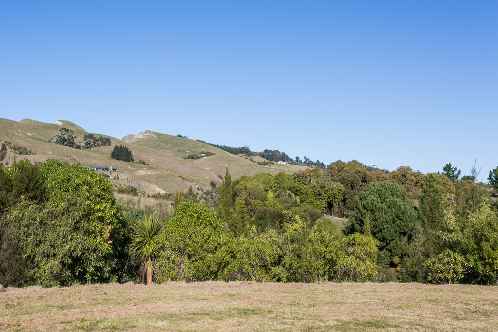 Elevated With Views Start Planning Your Dream Home