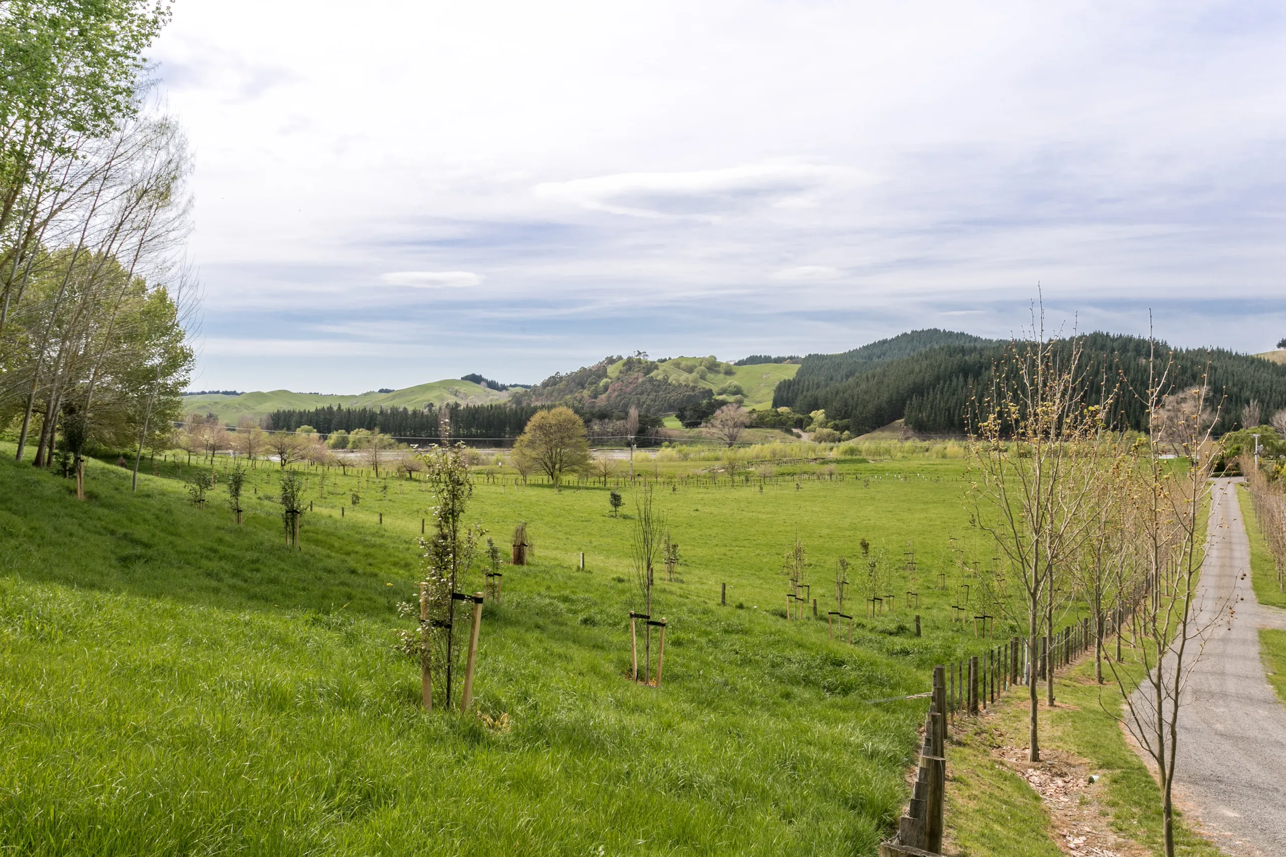 177 Waimarama Road, Havelock North, Hastings