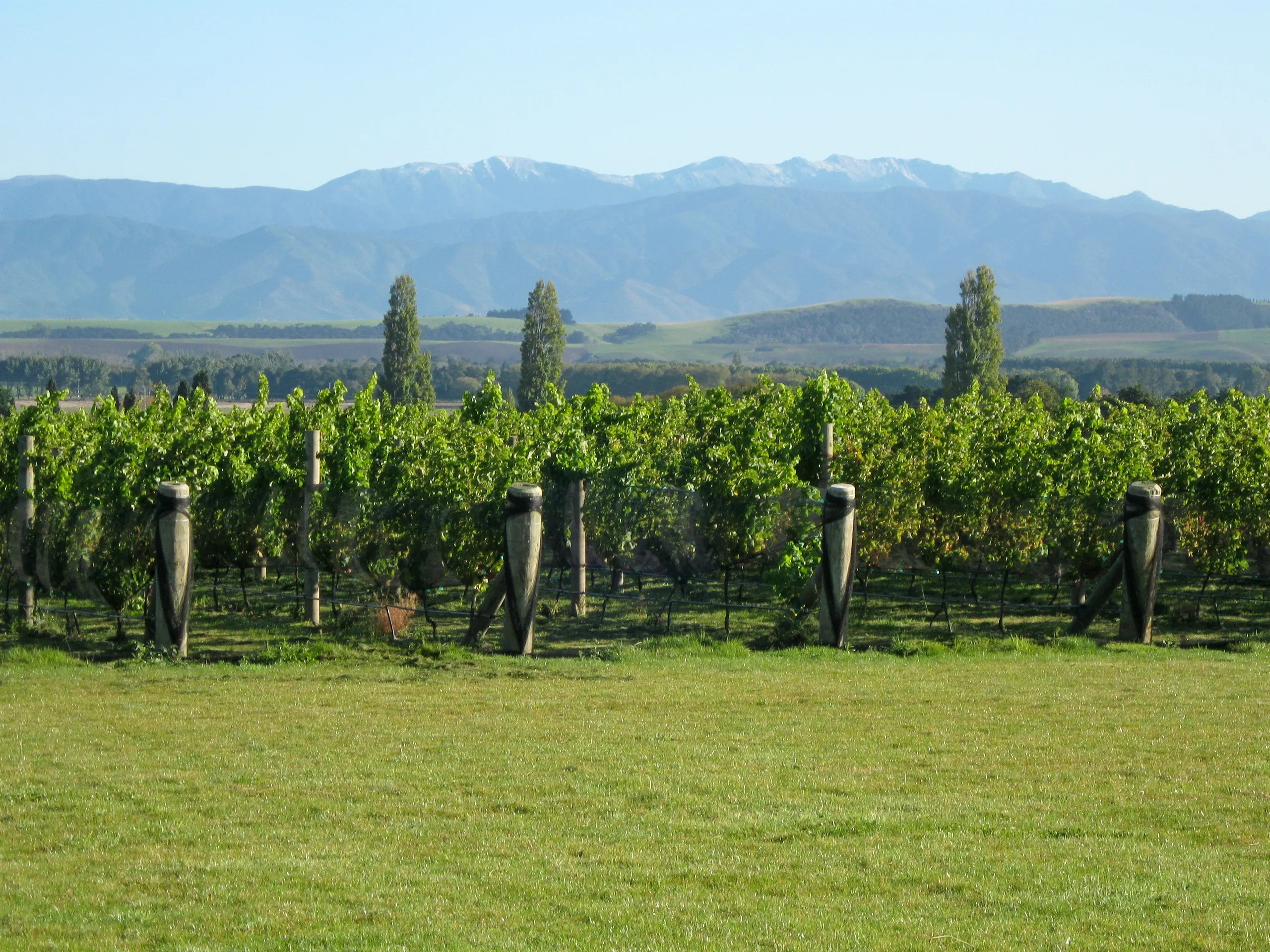 Lot 3 Harvest Rise, Lake Ferry Road, Martinborough, South Wairarapa