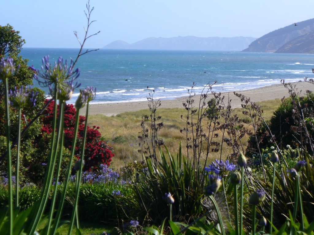 The Kiwi Dream - Mangakuri Beach