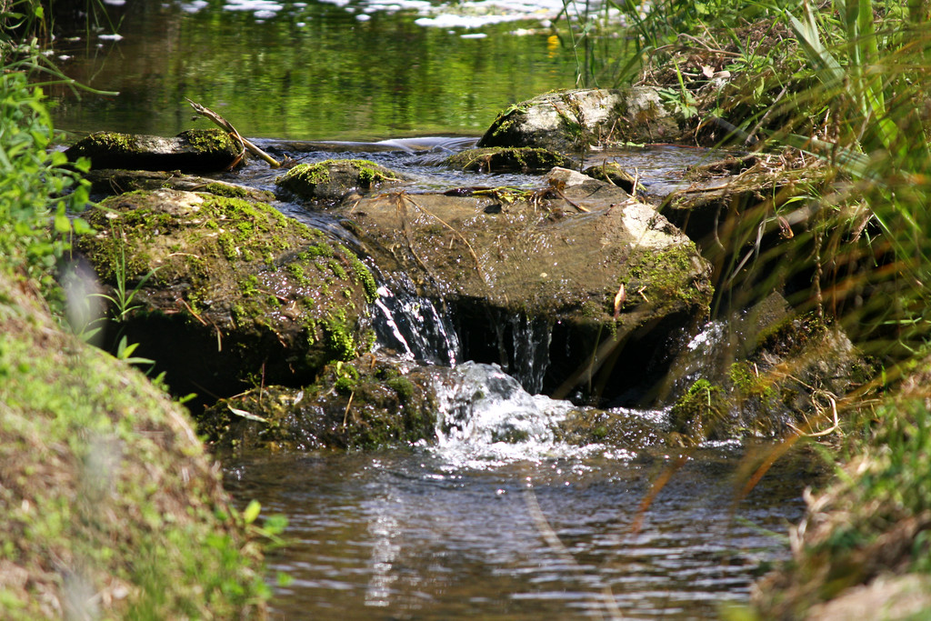 Sheltered and Scenic Rural Site