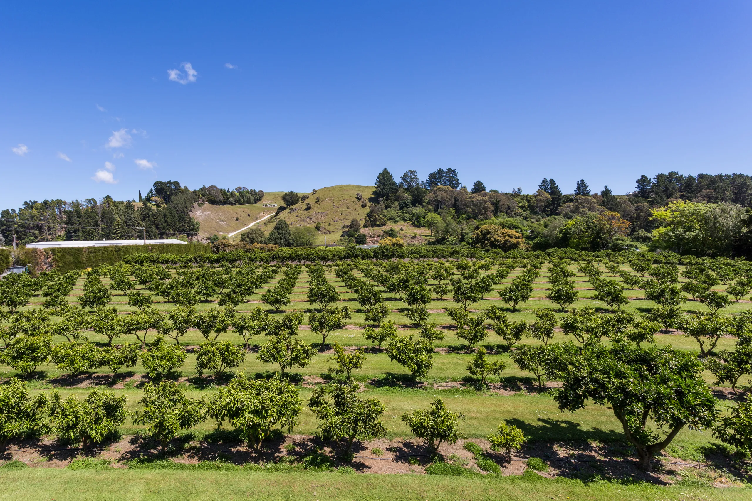 27 Franklin Road, Bay View, Napier