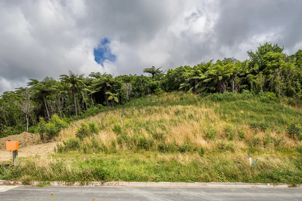 Sunny Site with Reserve Views