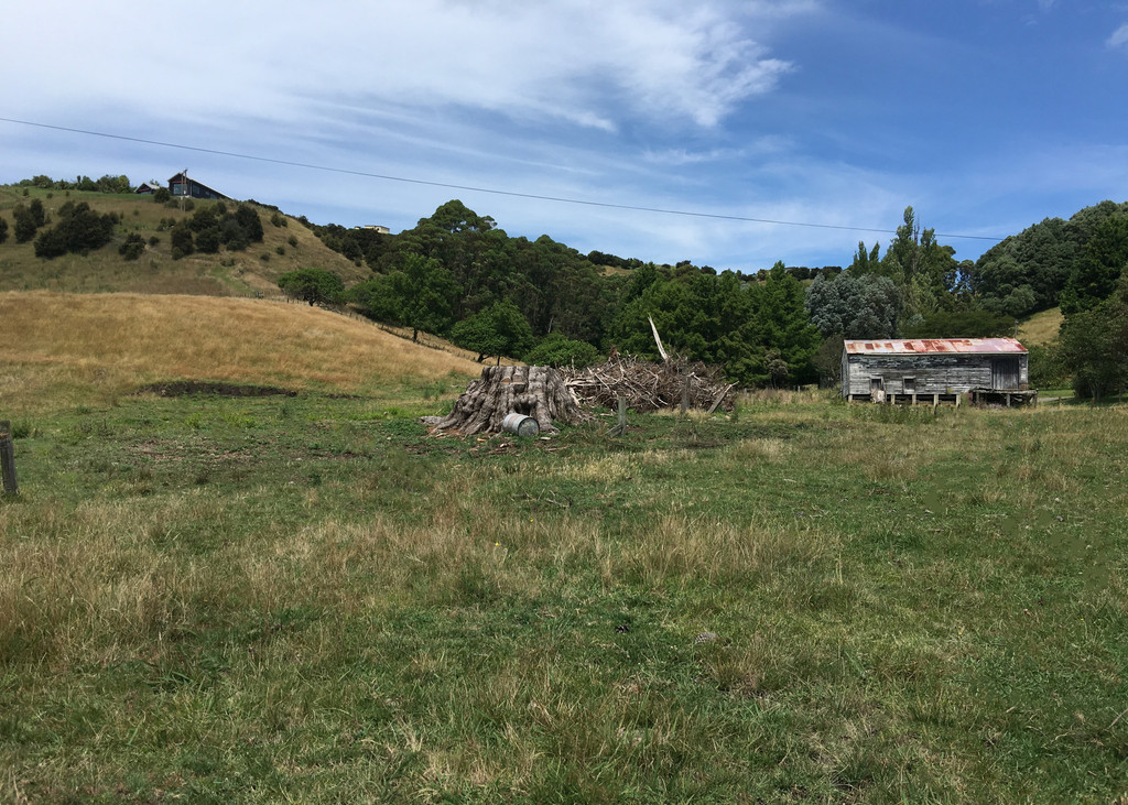 Build New, Relocate Or Land Bank