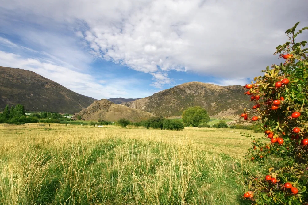 Lot 10, Tussock Creek