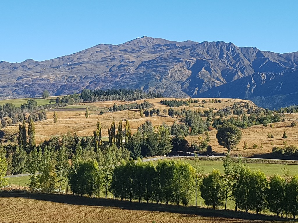 THE DECISION HAS BEEN MADE AND THIS ELEVATED RURAL SITE WILL BE SOLD !