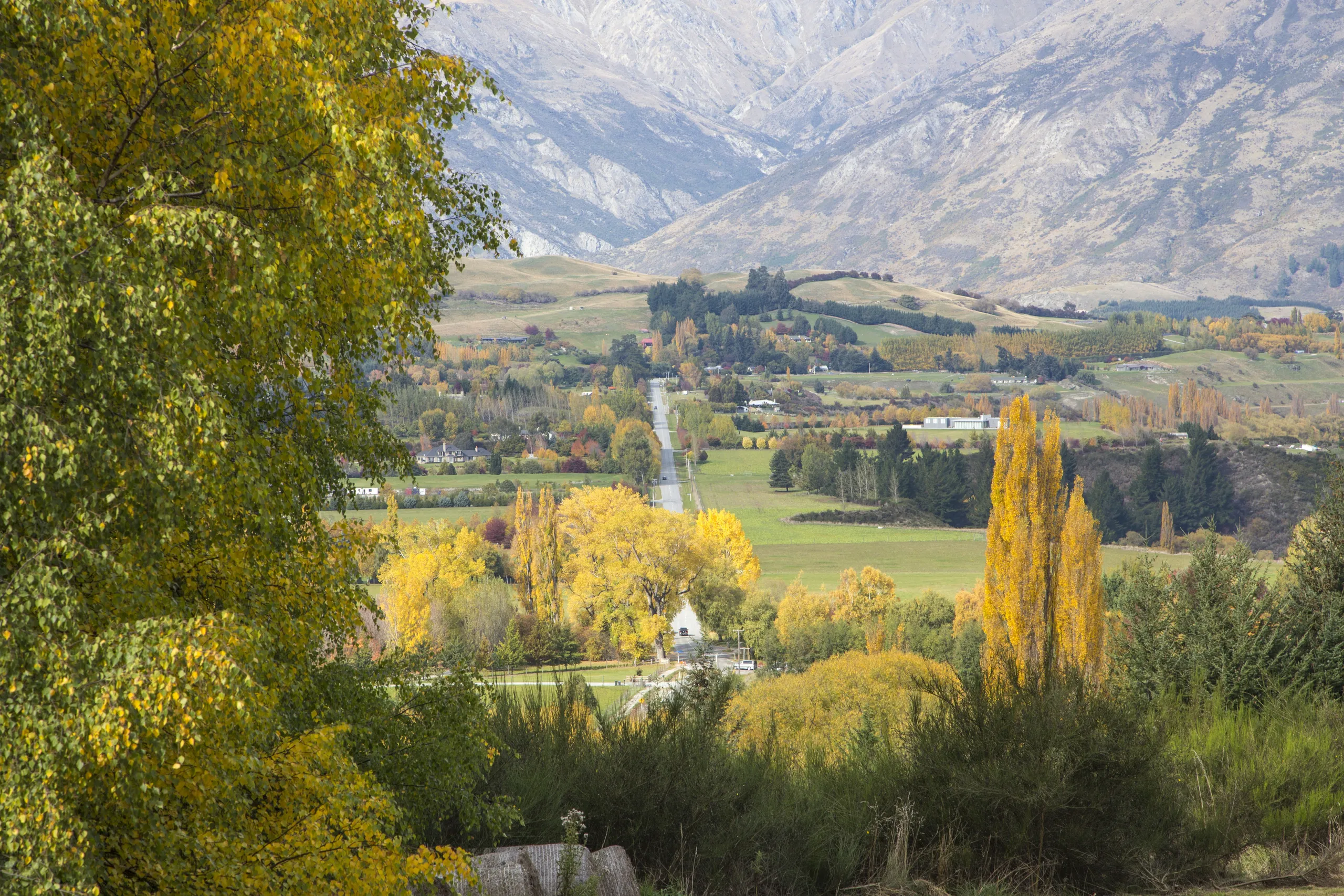 156 Dalefield Road, Queenstown, Queenstown