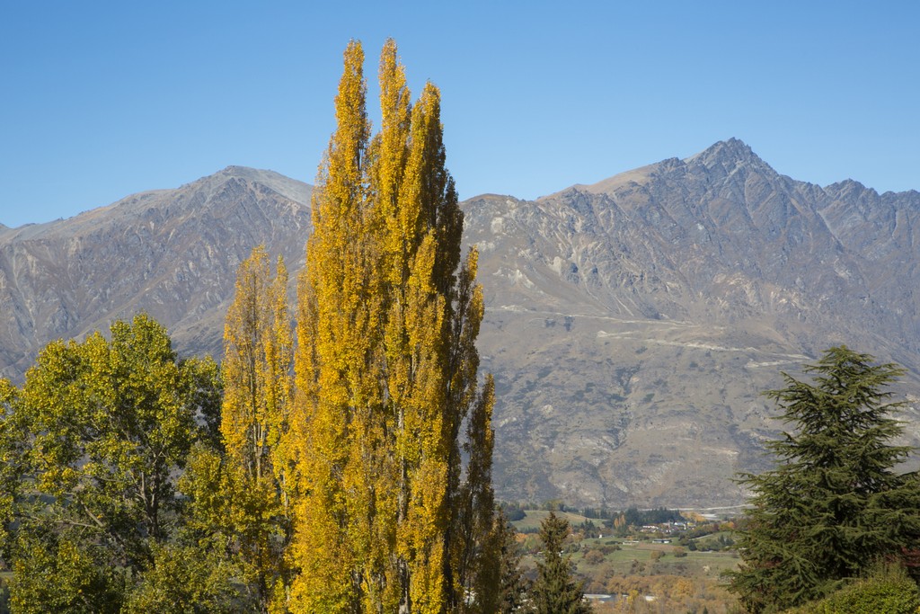 Prime Residential Land