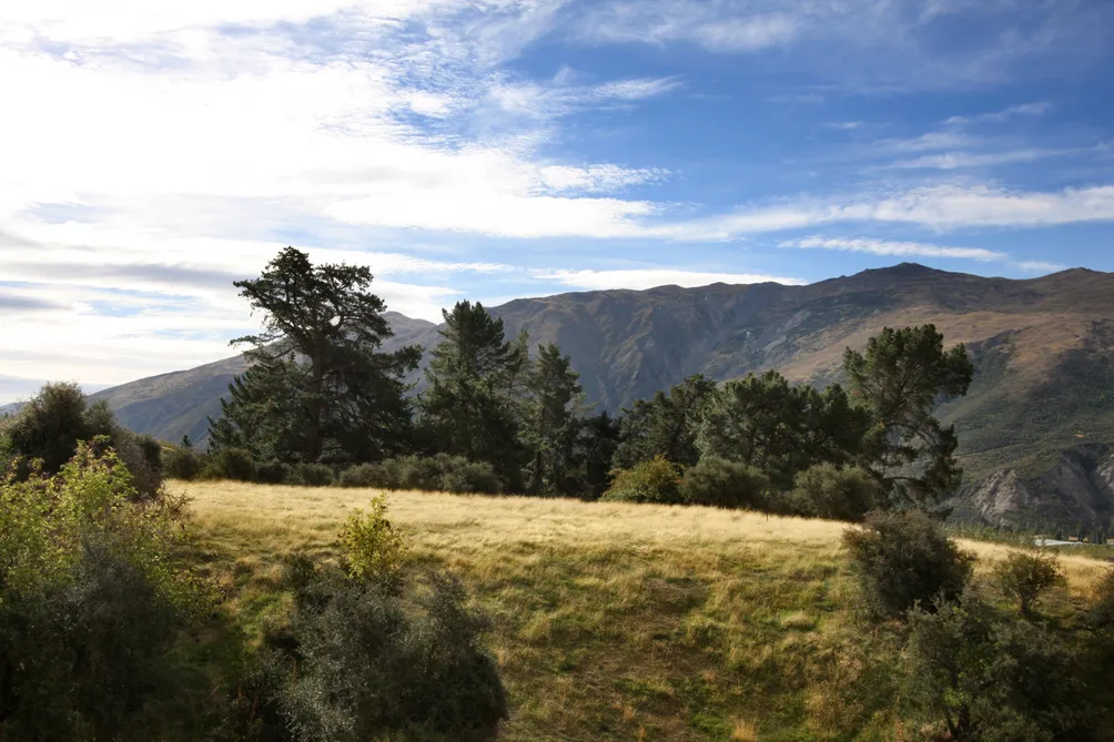 Lot 12, Tussock Creek