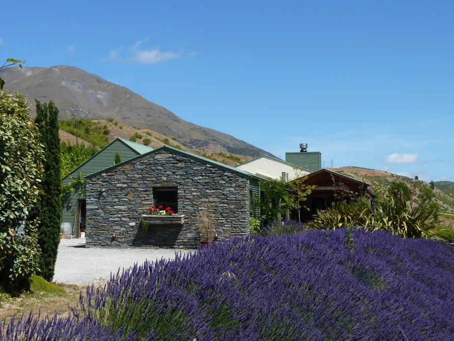 A Taste of Provence