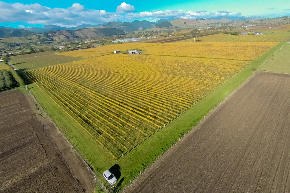 Prestige Commercial Vineyard in Hope
