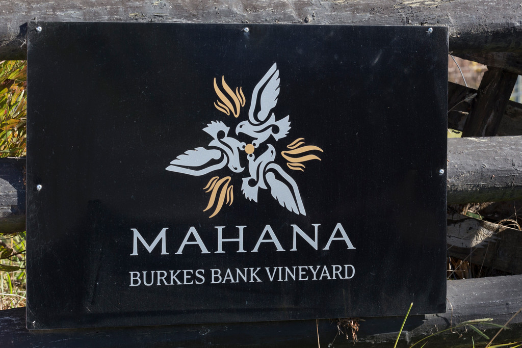 Prestige Commercial Vineyard in Hope
