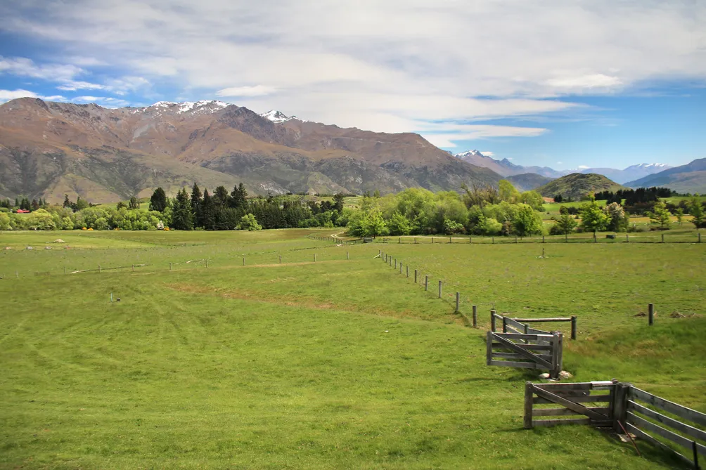 Nine Acres Near Arrowtown
