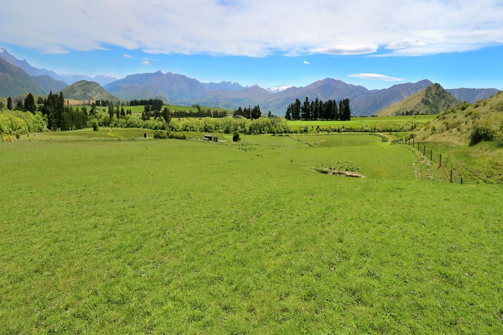 Nine Acres Near Arrowtown