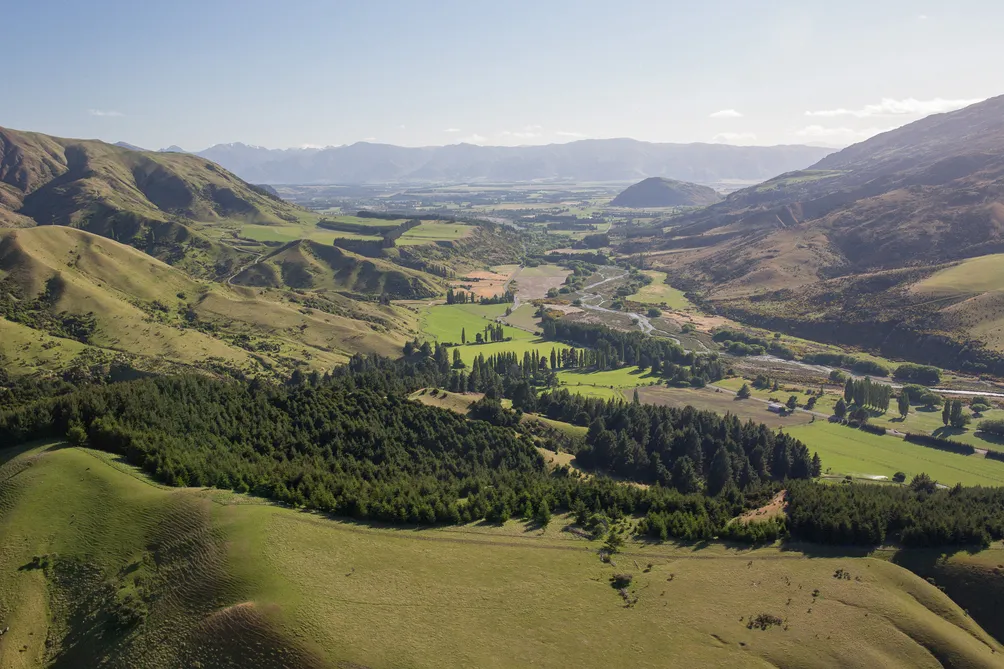 Outstanding Forestry Lifestyle Block