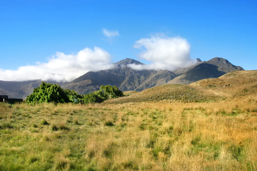 Rural Aspect, Expansive Views