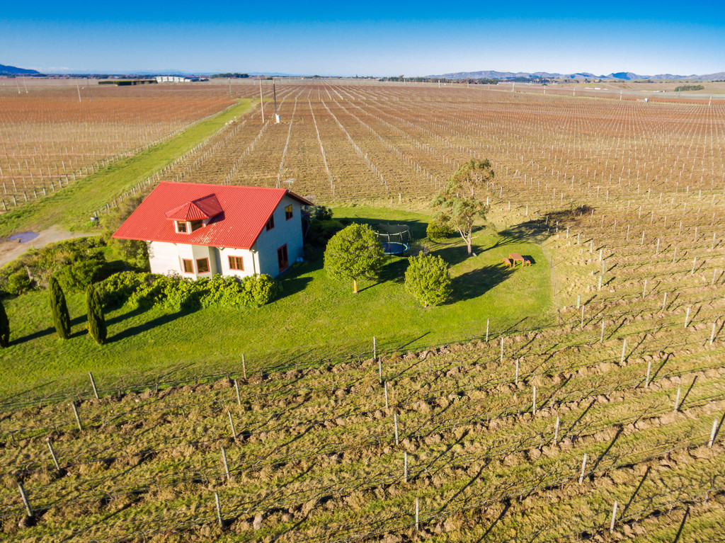 Well Recognised Marlborough Vineyard