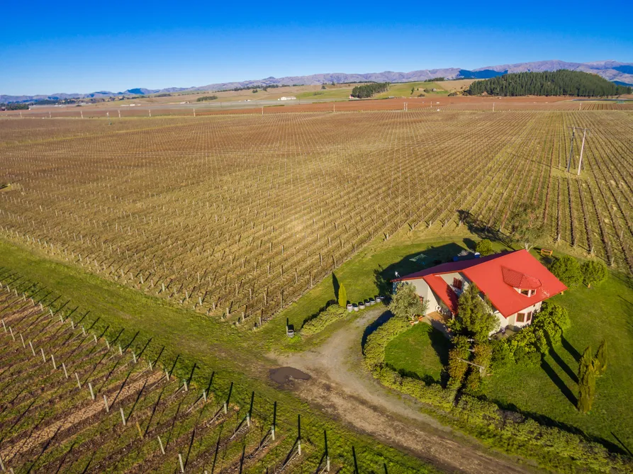 Well Recognised Marlborough Vineyard