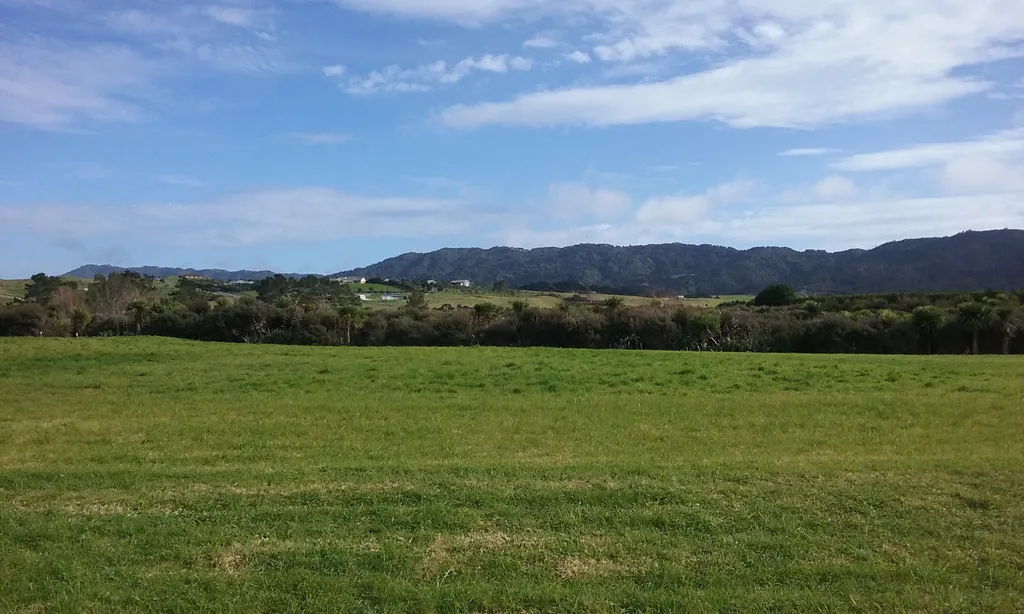 Prime Location - Mangawhai Heads Section