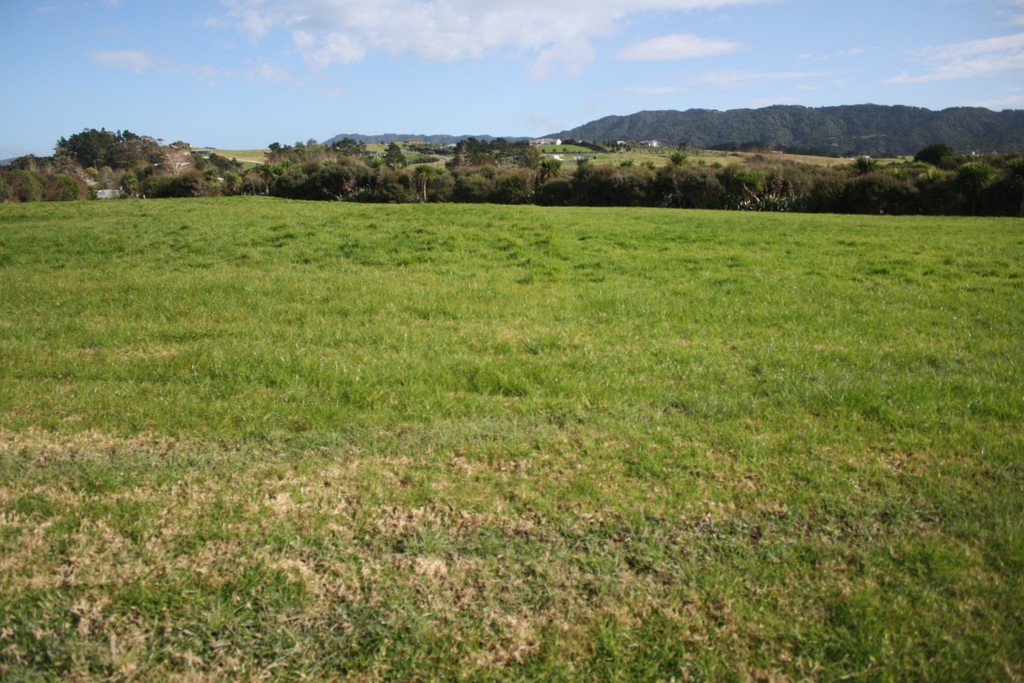 Prime Location - Mangawhai Heads Section