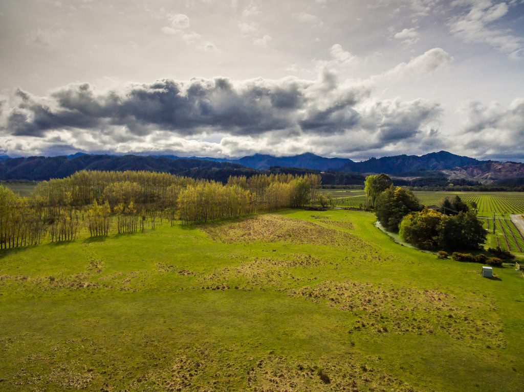 Vineyard Potential with Stream Boundary