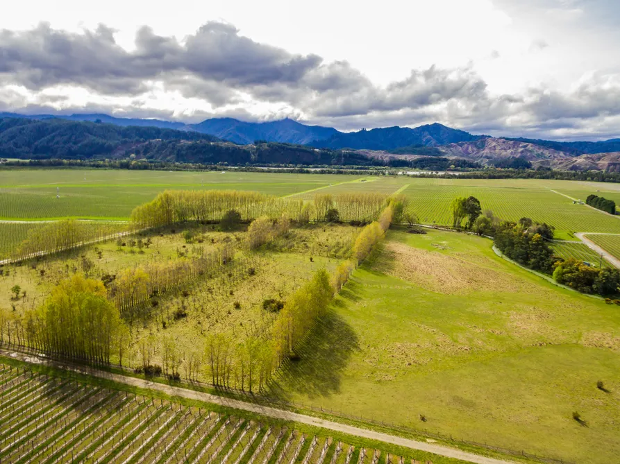 Vineyard Potential with Stream Boundary