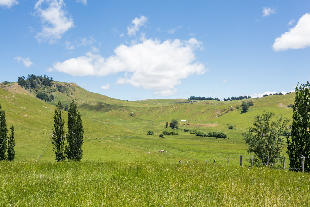 Mokopeka Station - A Slice Of Hawke's Bay History