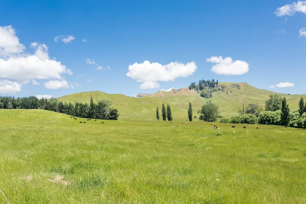 Mokopeka Station - A Slice Of Hawke's Bay History