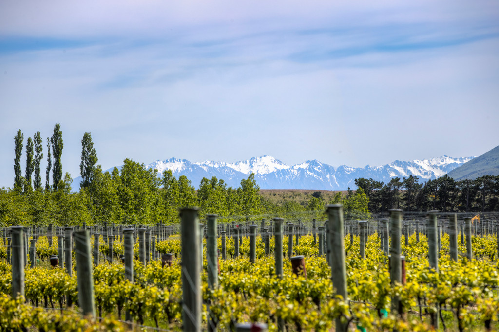 68 Queensberry Terrace, Queensberry, Central Otago NZ Sotheby’s