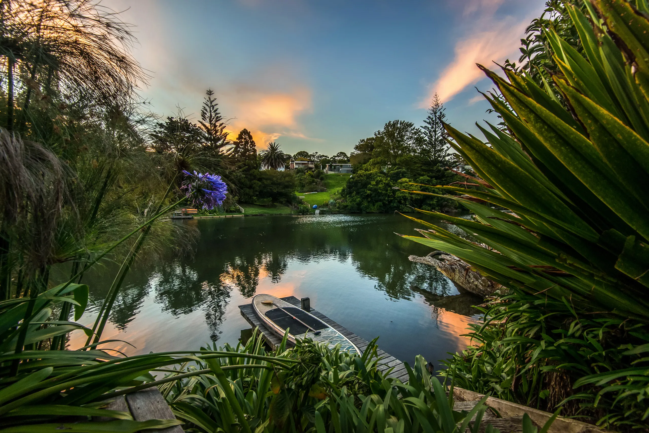 5B Dover Place, Remuera, Auckland City