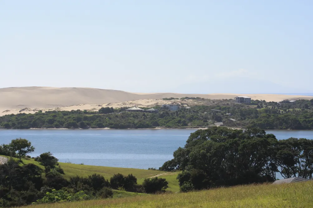 The Sahara View