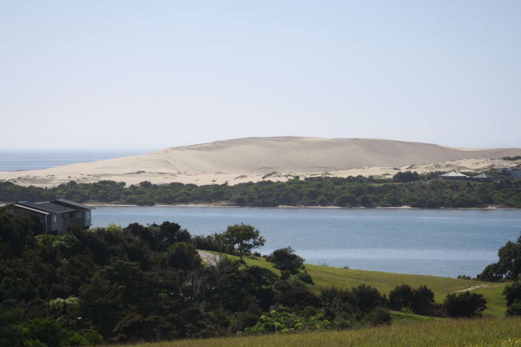 The Sahara View
