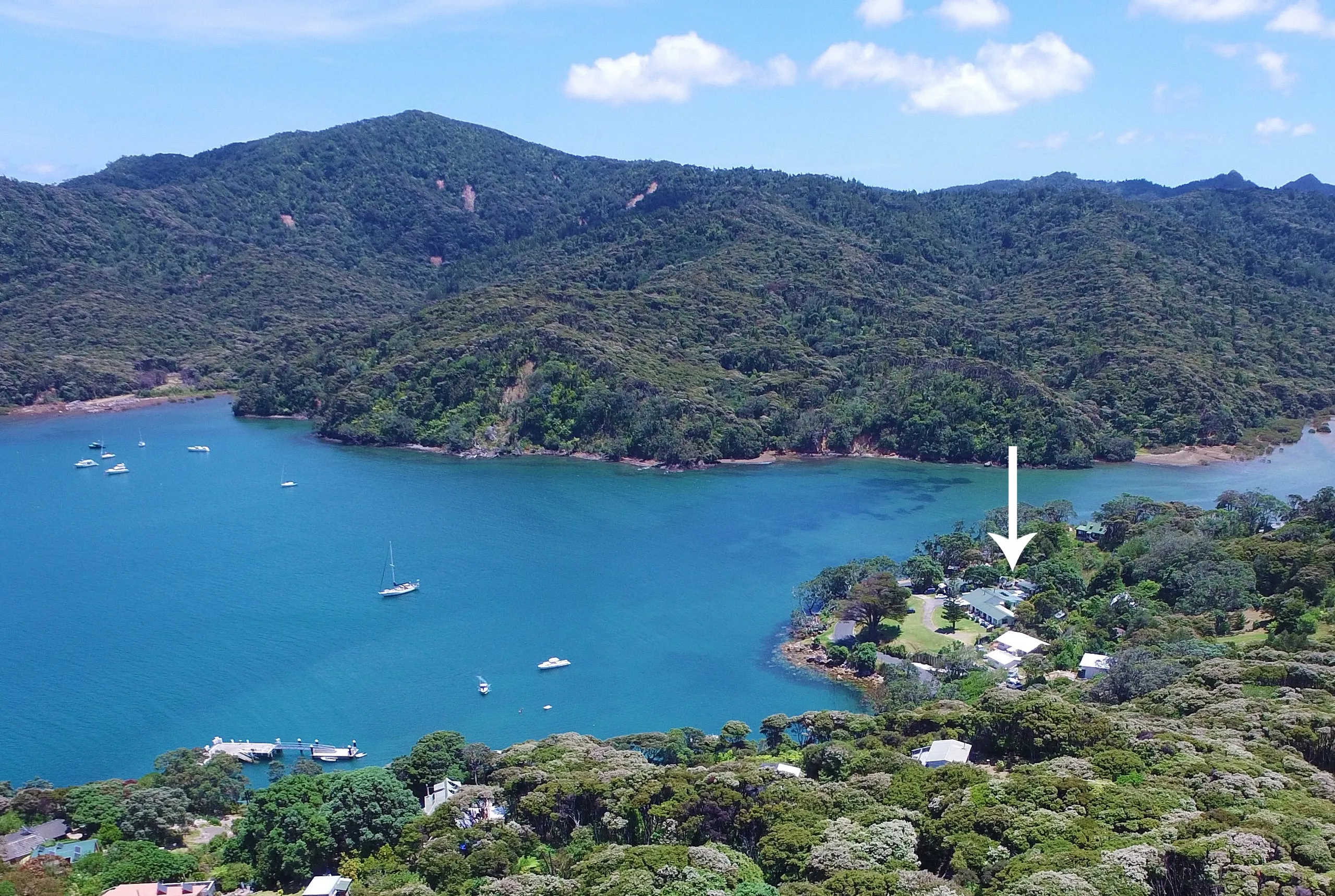 Whangaparapara Harbour, Great Barrier Island (Aotea Island), Hauraki Gulf Islands