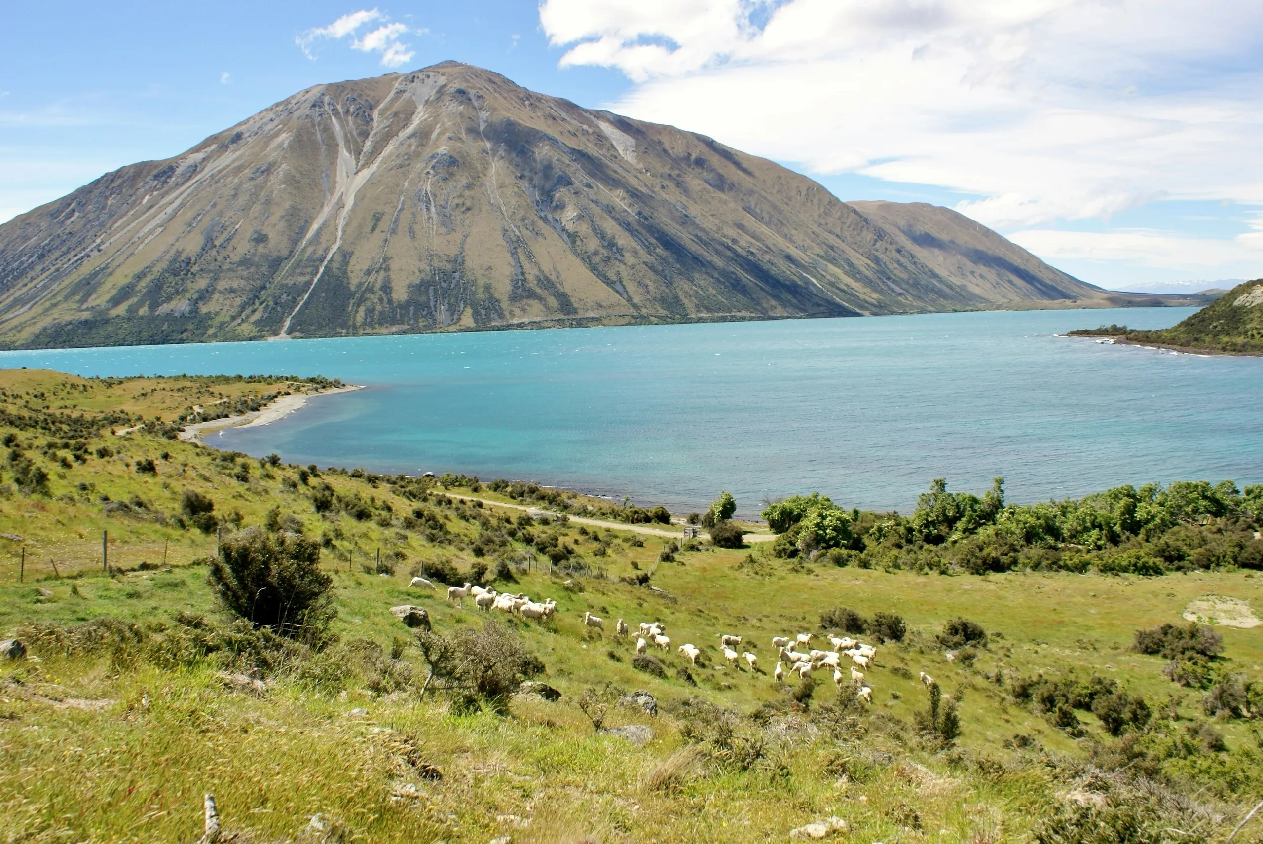 . Blue Water Lifestyle Block, Lake Ohau, Ohau