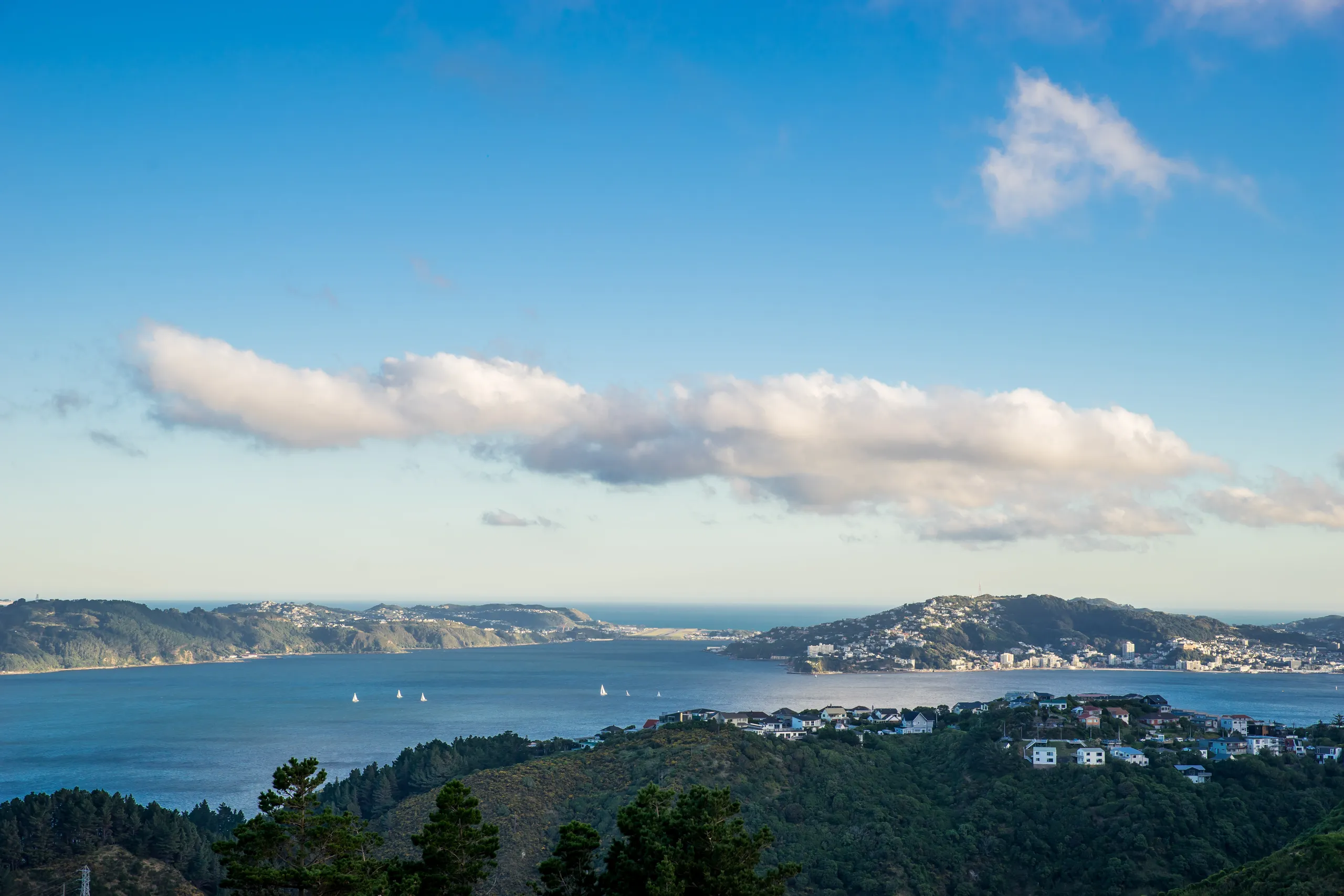 5 Cessna Way, Newlands, Wellington City