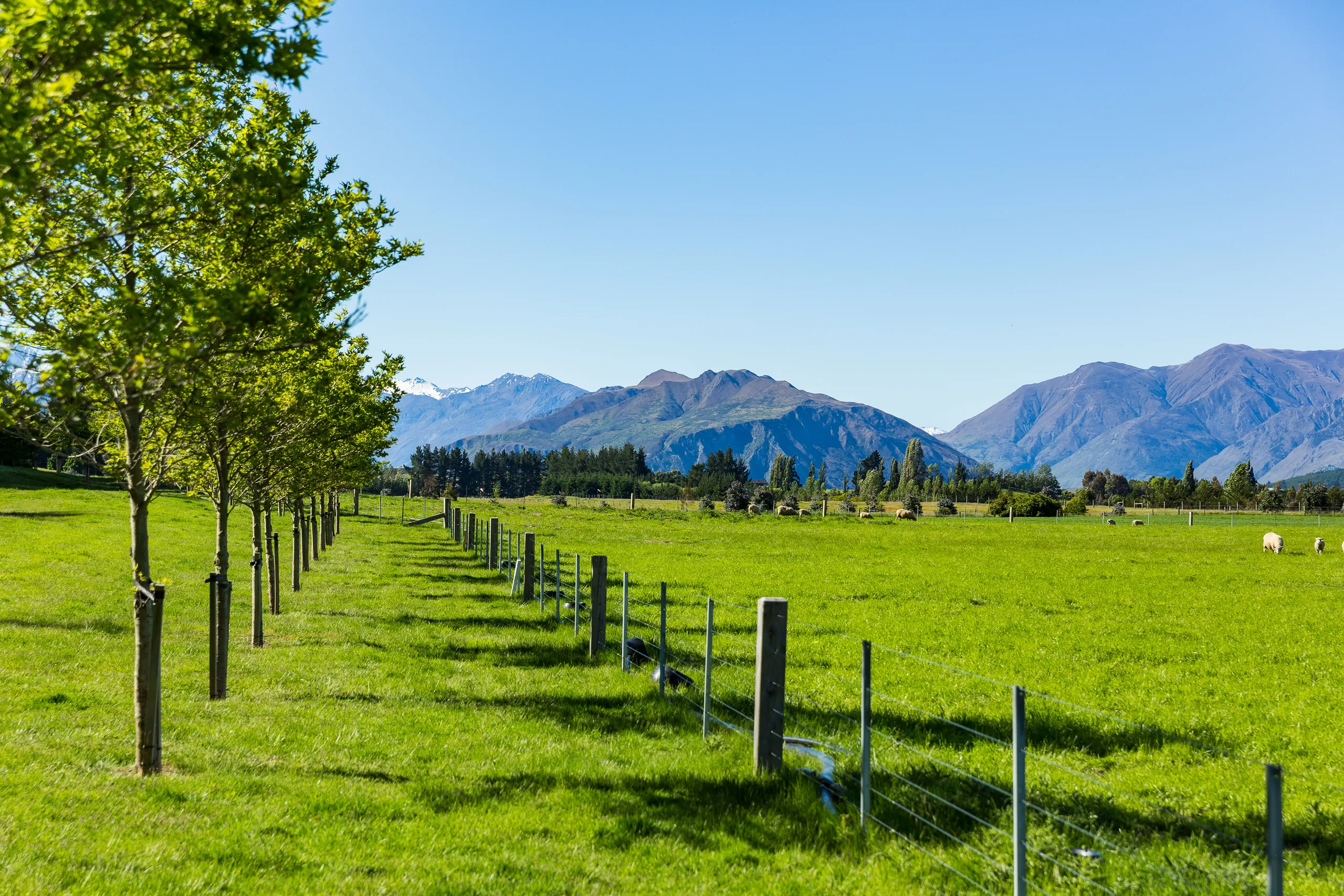 Lot 4 Hillend Estates, Wanaka, Central Otago
