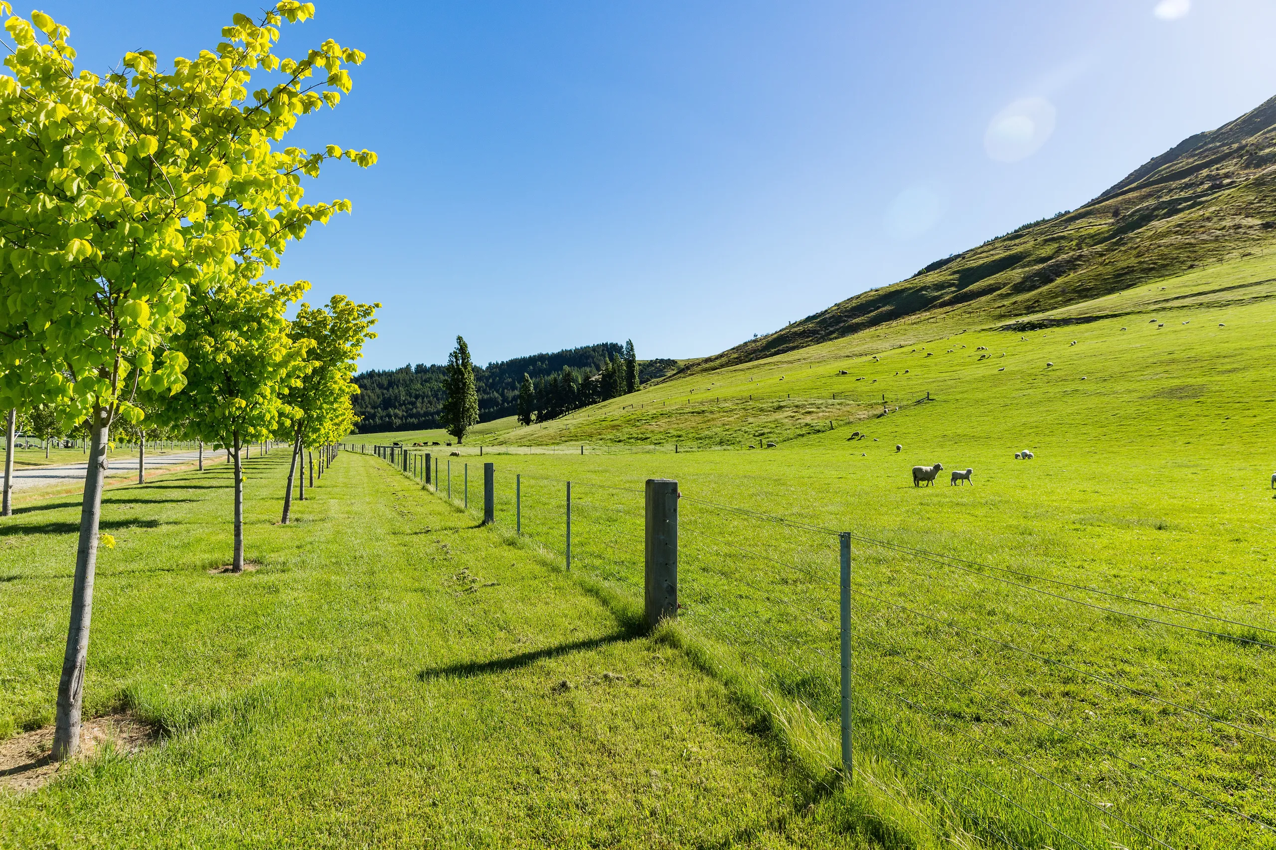 Lot 6 Hillend Estates, Wanaka, Central Otago