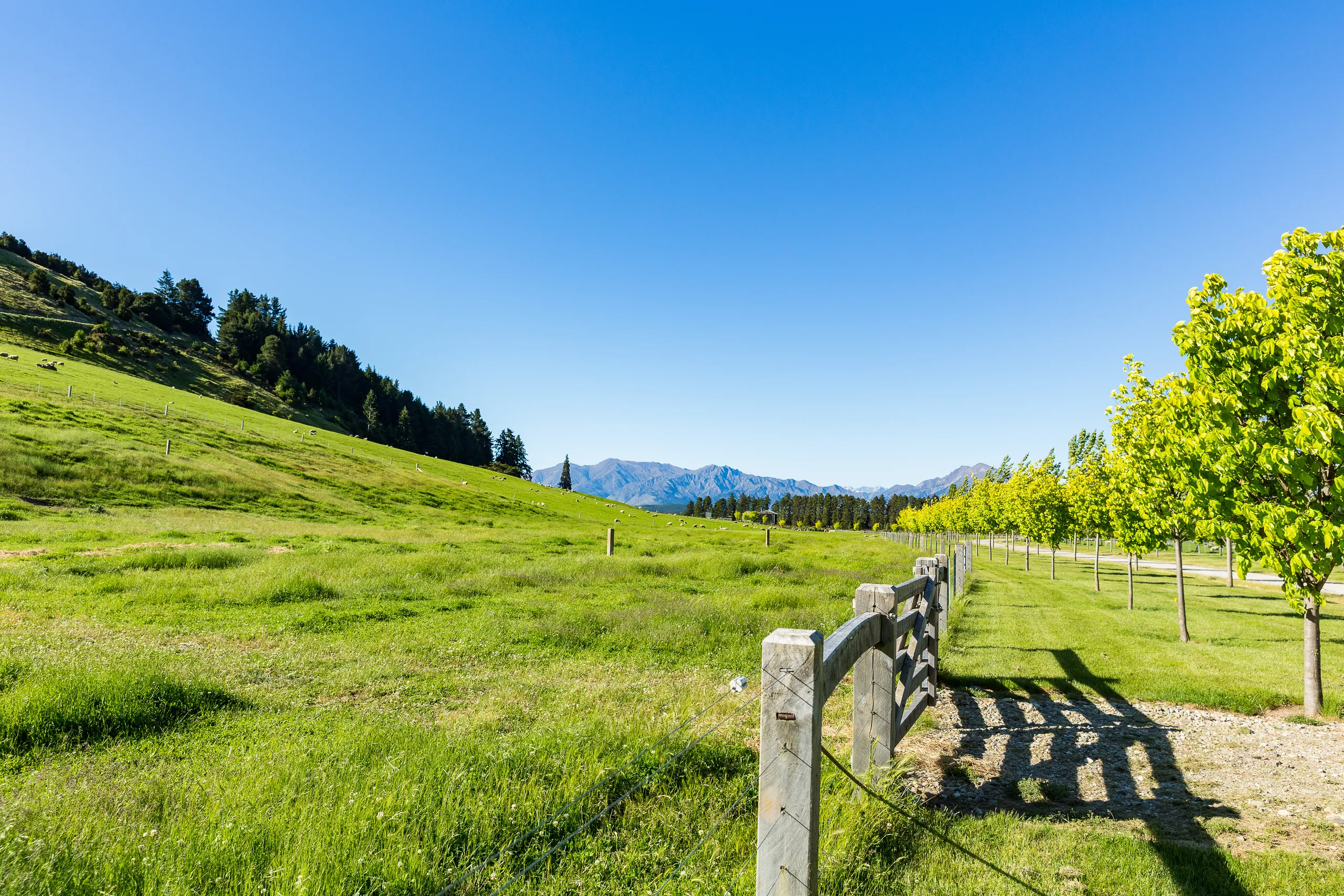 Lot 7 Hillend Estates, Wanaka, Central Otago
